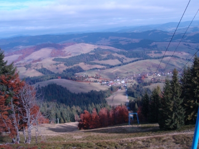 _20100405_1166987684.jpg